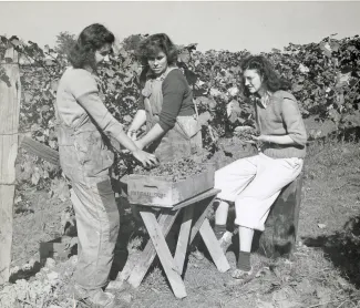 Three young women help bring in the crops during wartime.
